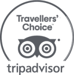 This image shows the "Tripadvisor Travellers' Choice" logo, featuring an owl icon with open eyes within a circular border.