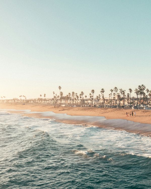 A beach with gentle waves hitting the shore, palm trees, and a few people walking along the sand under a clear sky.