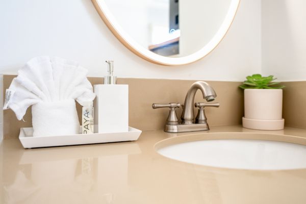 A bathroom sink with a mirror, soap dispenser, neatly folded towel, and a small potted plant on the counter.