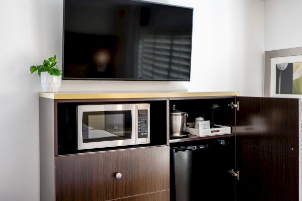 The image shows a television mounted on a wall above a wooden cabinet, with a microwave, mini-fridge, and plant on top of the cabinet.