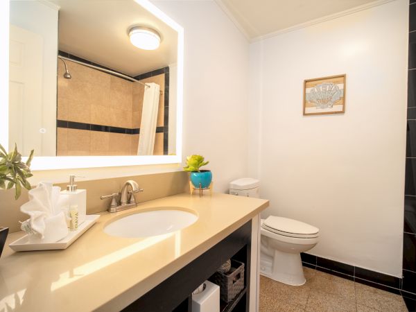A modern bathroom features a large mirror, sink, toilet, shower with curtain, artwork on the wall, and decor elements including plants and towels.