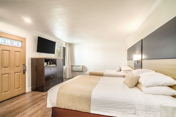 A bright, modern hotel room featuring two neatly made beds, a wooden dresser, wall-mounted TV, and large window letting in natural light.