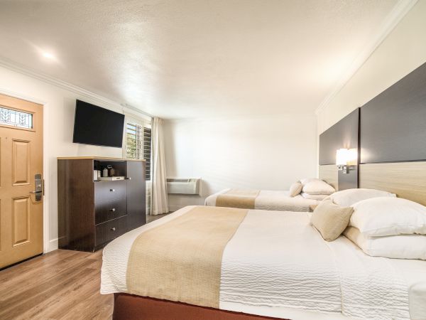 A bright, modern hotel room featuring two neatly made beds, a wooden dresser, wall-mounted TV, and large window letting in natural light.