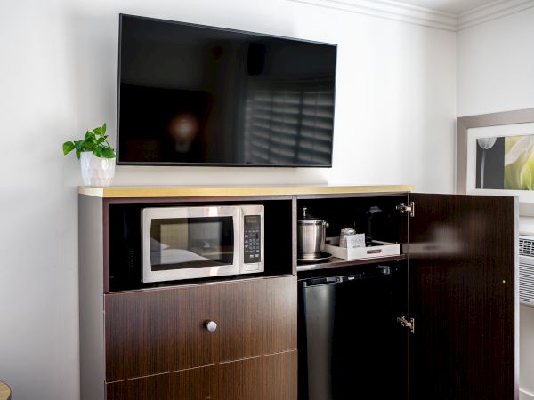 The image shows a hotel room cabinet with a microwave, mini-fridge, ice bucket, plant, and television mounted on the wall above it.