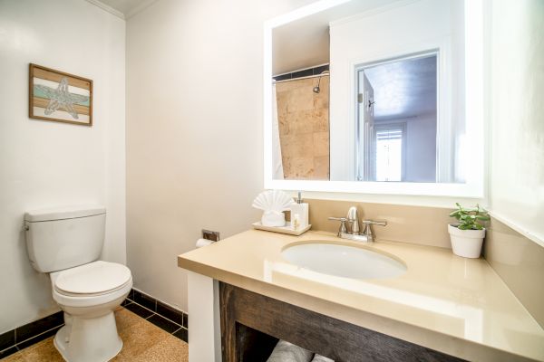 A clean bathroom with a toilet, a wall-mounted picture, and a sink with a mirror above and a plant on the counter.