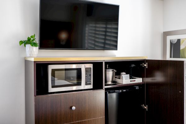 The image shows a room setup with a wall-mounted flat-screen TV above a cabinet. The cabinet has a microwave, fridge, plant, and some items inside.