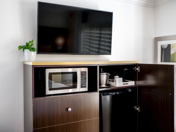 The image shows a room setup with a wall-mounted flat-screen TV above a cabinet. The cabinet has a microwave, fridge, plant, and some items inside.