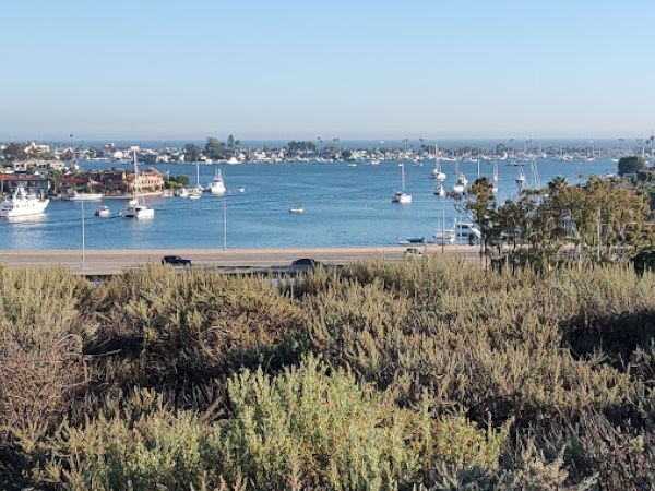 The image shows a scenic coastal view with boats on the water, houses on the waterfront, and vegetation in the foreground.