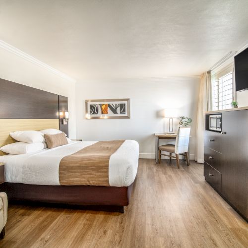 A modern hotel room with a king-sized bed, a TV, a desk, a chair, a microwave, a mini-fridge, and contemporary decor, featuring wood flooring.