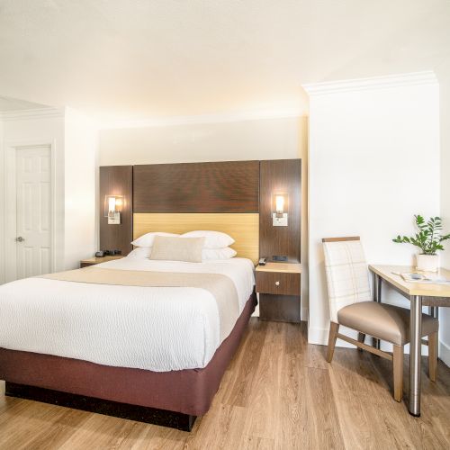 A well-lit hotel room with a bed, bedside tables, lamps, a desk with a chair, and a potted plant on the desk, all on a hardwood floor.