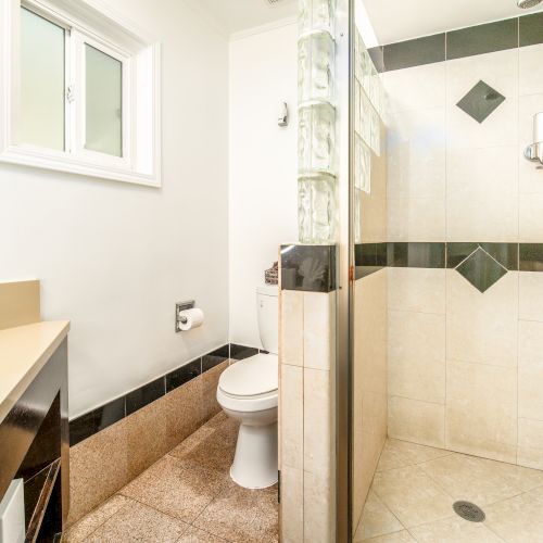 The image shows a clean, modern bathroom with a shower, toilet, sink, countertop with a plant, and a small window on the left side.