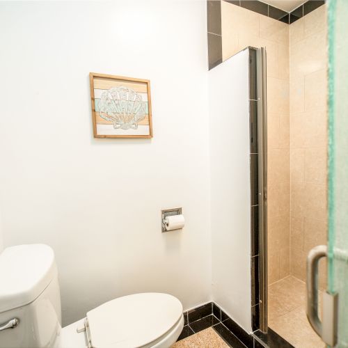 This image shows a clean, minimalist bathroom with a white toilet, a framed picture on the wall, and a walk-in shower with a frosted glass door.