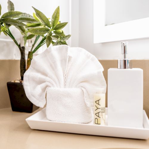 The image shows a bathroom countertop with a small potted plant, a white towel folded decoratively, a bottle labeled 