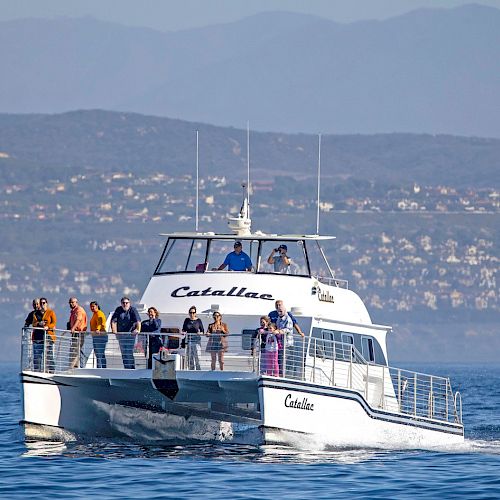 A catamaran named "Catallac" is on the water with passengers viewing the coast and distant hills in the background.